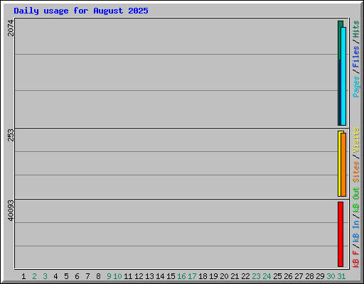 Daily usage for August 2025