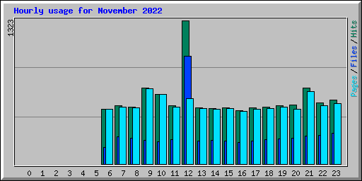 Hourly usage for November 2022