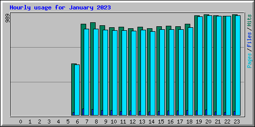 Hourly usage for January 2023