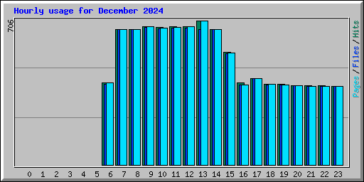 Hourly usage for December 2024