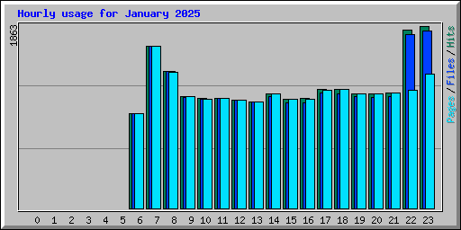 Hourly usage for January 2025