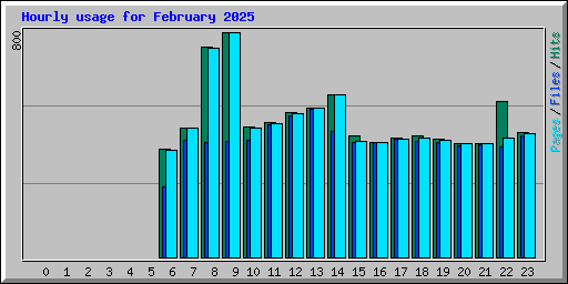 Hourly usage for February 2025