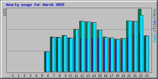 Hourly usage for March 2025