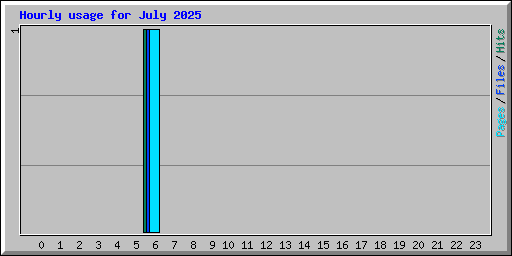 Hourly usage for July 2025