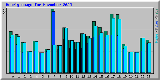 Hourly usage for November 2025