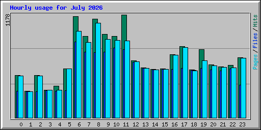 Hourly usage for July 2026