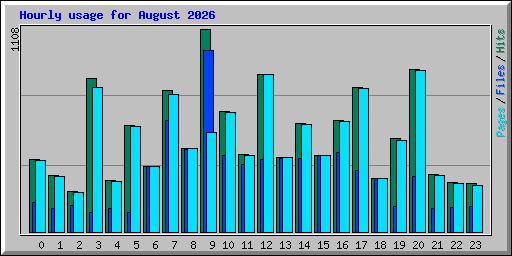 Hourly usage for August 2026